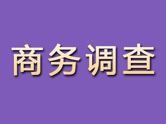 费县商务调查