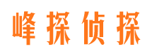 费县市调查公司